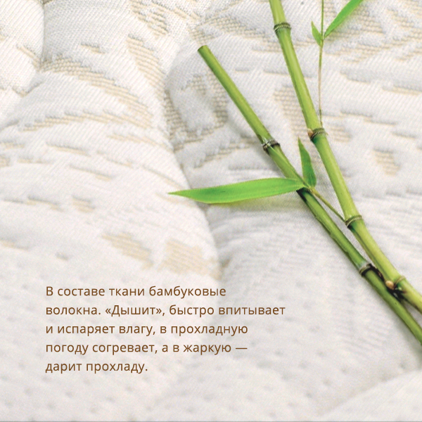3. Bamboo Comfort.jpg