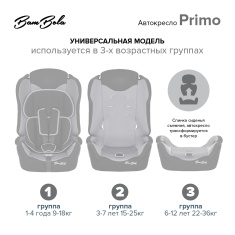 BAMBOLA Удерживающее устройство для детей 9-36 кг Primo