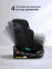 Pituso Удерживающее устройство для детей 0-36 кг Roys Lux black/черный (i-Size)